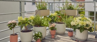 Gardena trae el riego económico, preciso y perfecto para jardines urbanos y macetas