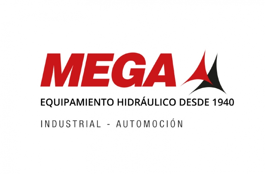 Un grupo industrial español salva a MEGA de la crisis