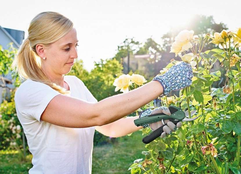 Bosch recomienda las tijeras de jardín Easy Prune para el Día de la Madre 