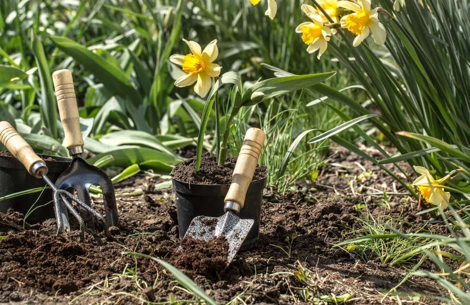 Especial: La jardinería aumentó un 4,5% en 2021