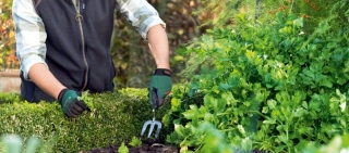 La firma presenta herramientas esenciales de jardinería con un diseño compacto y materiales alta calidad para trabajar en huertos y jardines con facilidad.
