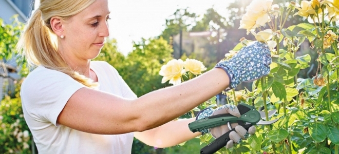 Bosch recomienda las tijeras de jardín Easy Prune para el Día de la Madre 