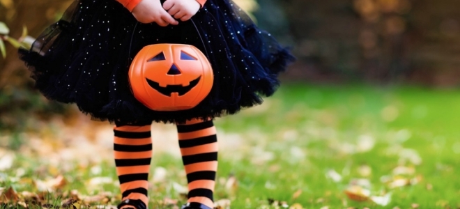 Bosch Home & Garden ofrece cuatro ideas para crear ambiente en Halloween