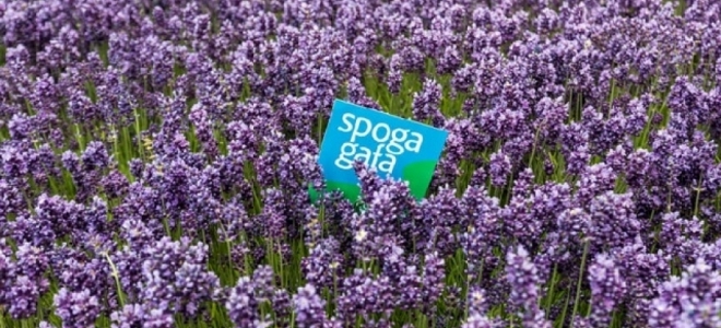spoga+gafa 365, la nueva plataforma para encuentros en la industria verde 